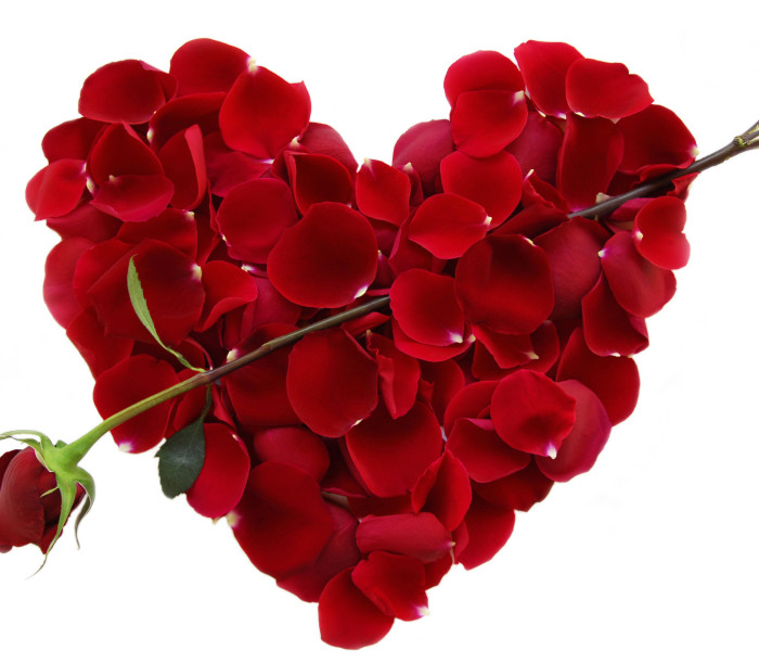The Dating Game at 58! heart-flowers-wallpaper-hd-free-download