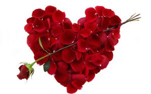 heart-flowers-wallpaper-hd-free-download